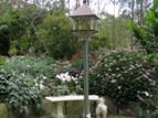 Lagoon Garden