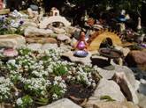 Fairy Garden