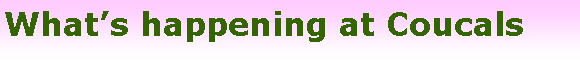 Text Box: What�s happening at Coucals