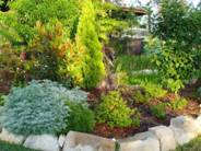 Lagoon Garden