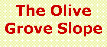 Text Box: The Olive Grove Slope