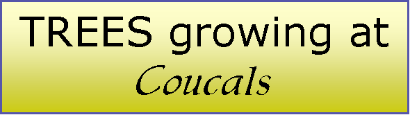 Text Box: TREES growing at Coucals
