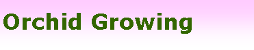Text Box: Orchid Growing